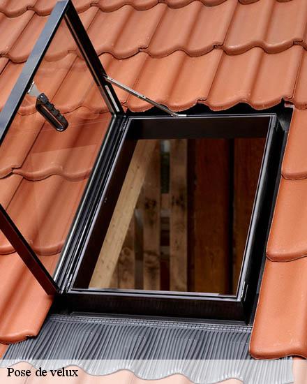 Pose de velux  capestang-34310 Entreprise Sud facade